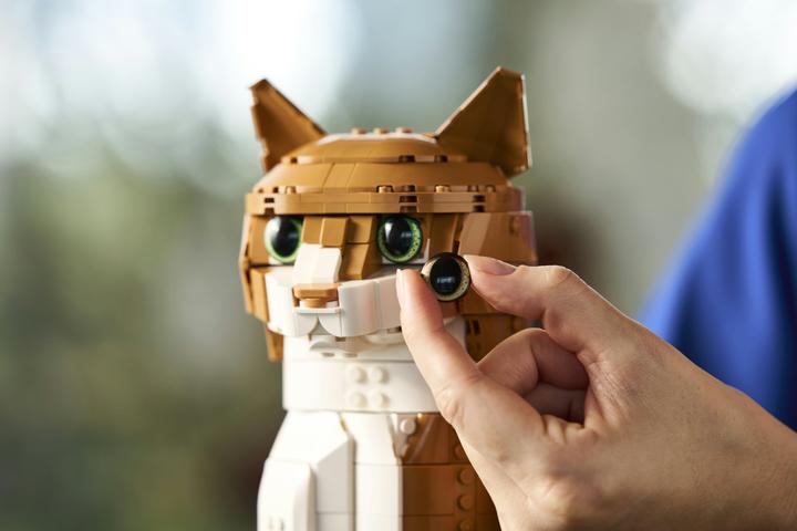 Image du produit LEGO Orange Cat (21376, LEGO Ideas)