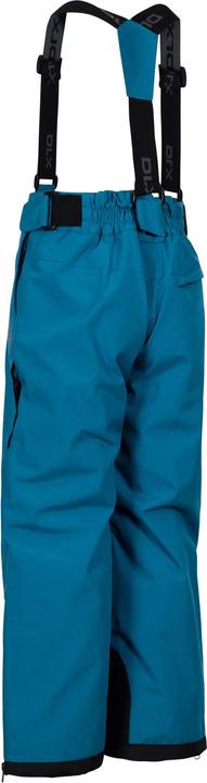 Actual product image Trespass Childrens/Kids Benito Ski Trousers (140)