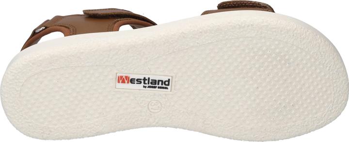 Produktbild Westland 25401-410 (38)