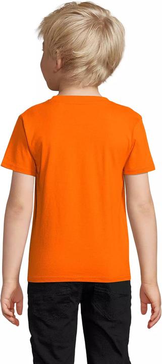 Produktbild Sol's Pioneer