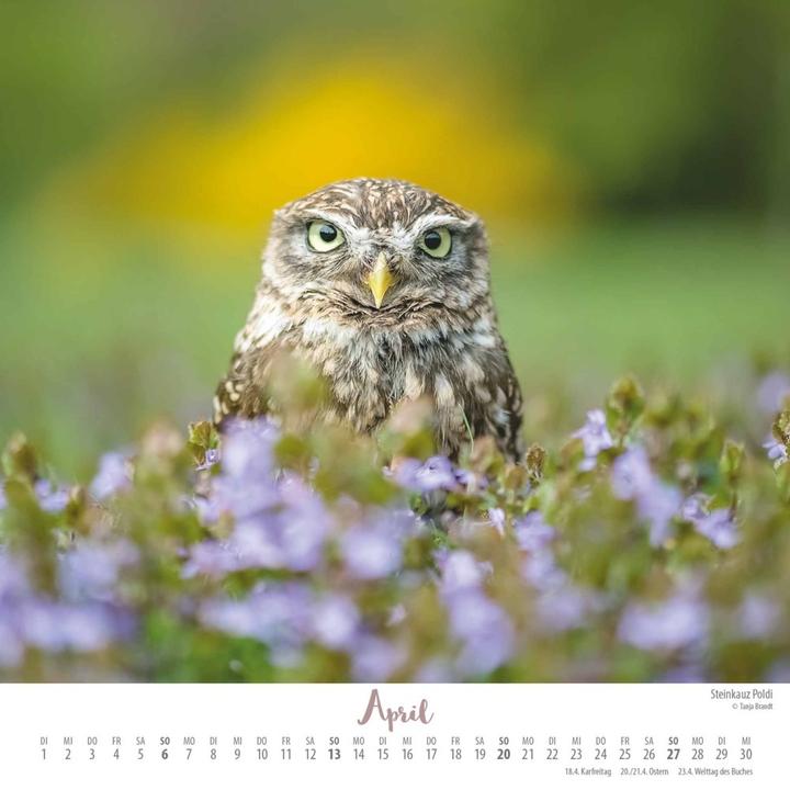 Image du produit Là où l'amour vole 2025 - Ingo, Poldi et leurs amis - Calendrier mural avec reliure spirale - (23 x 23 cm)