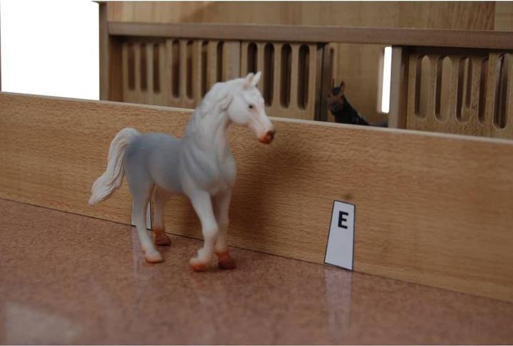 Actual product image Sombo Horse stable pink wood