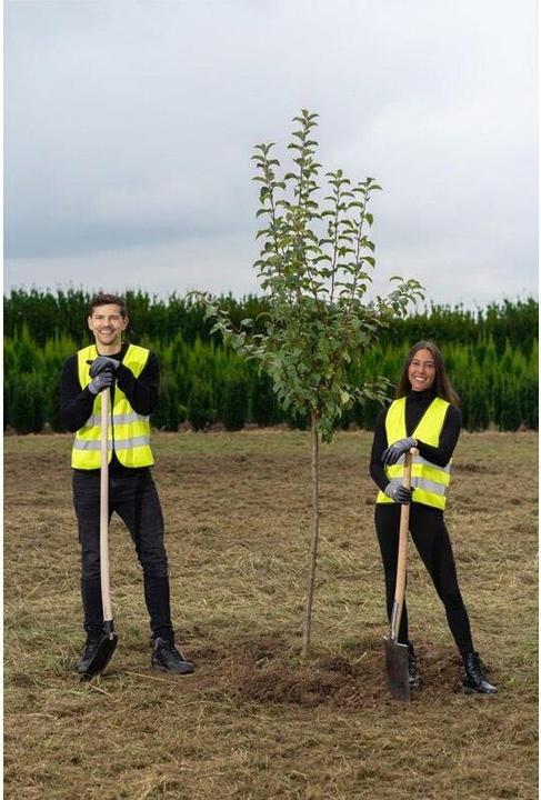 Produktbild Korntex Sicherheitsweste CO² Neutral (L)