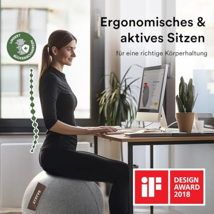 Image du produit Stryve Active Ball 65cm feutre de laine (65 cm)