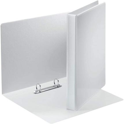 Leitz ESS.PR.-RB,2D-RI 3,8CM WS 10S (A4, 38 mm, 10 Piece)