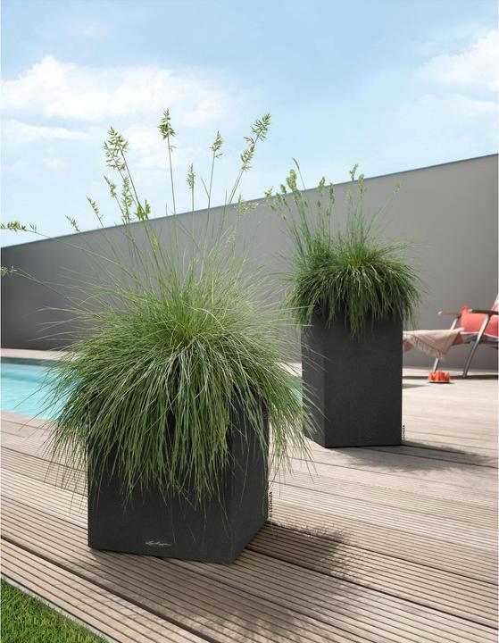 Image du produit Lechuza Canto Color Cube (30 x 30 x 30 cm)