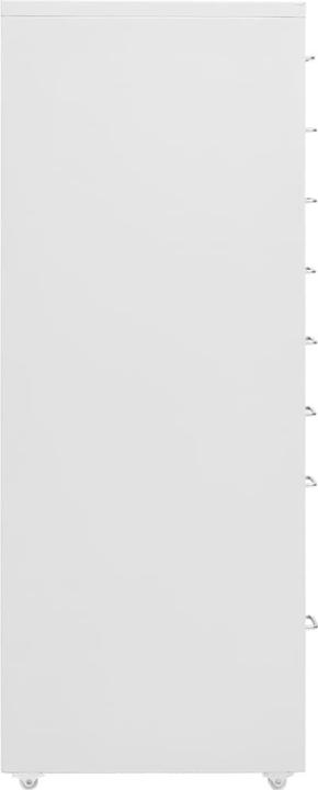 Nährwerte und Zutaten vidaXL Büroschrank (28 x 41 x 109 cm)