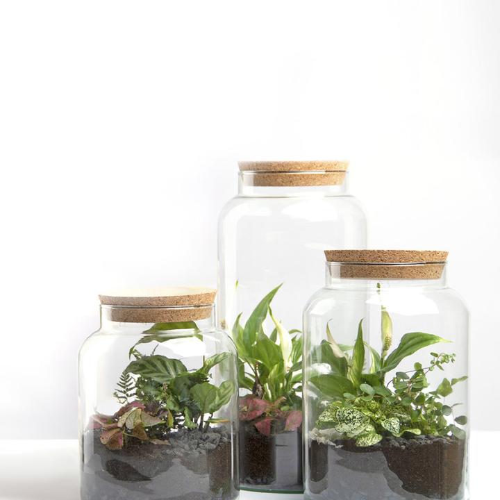 Produktbild Esschert Design Terrarium Flasche S