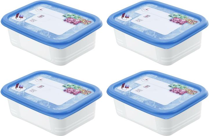 Actual product image Rotho Freezer cans (0.50 l)