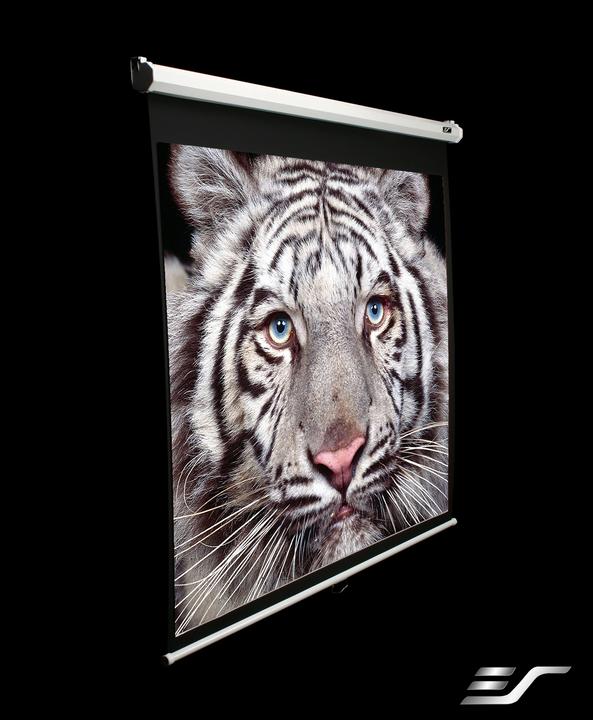 Produktbild Elite Screens Manual M99NWS1 (99", 1:1)