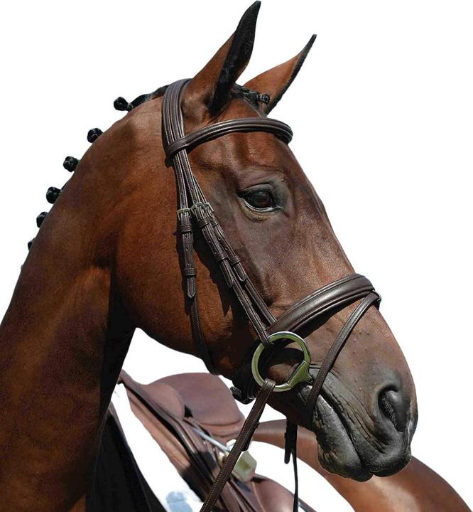 Image du produit Collegiate Kit de mousse Flash Syntovia