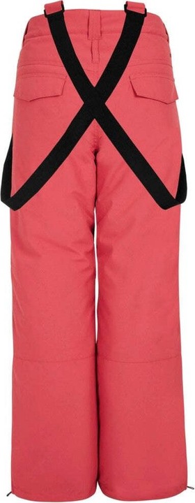 Image du produit Protest SUNNY JR snowpants (116)