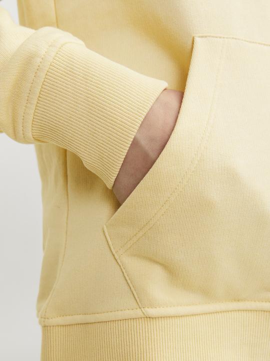 Actual product image Jack & Jones Jorcobin Sweat Hood Jnr (176)