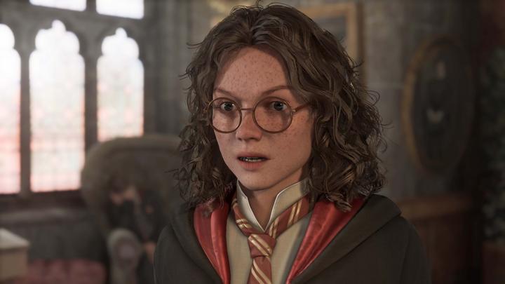 Image du produit WB Hogwarts Legacy (Switch 2, Anglais)