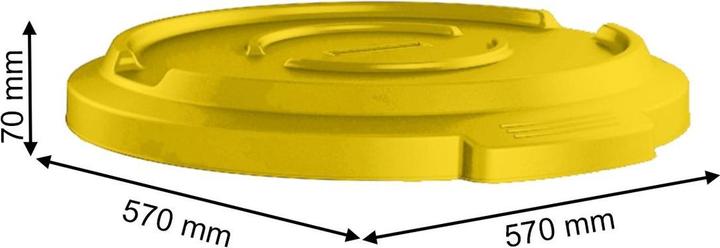 Actual product image Rotho TITAN lid (120 l)