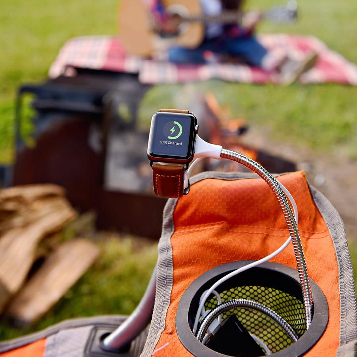 Actual product image [Fuse] Chicken Bobine Watch