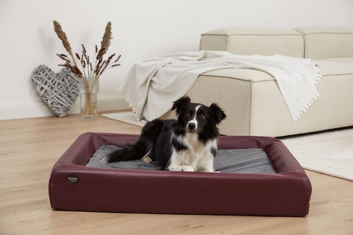 Actual product image Sabro Insert for dog bed Kudde: Moomin Mynki (Dog)