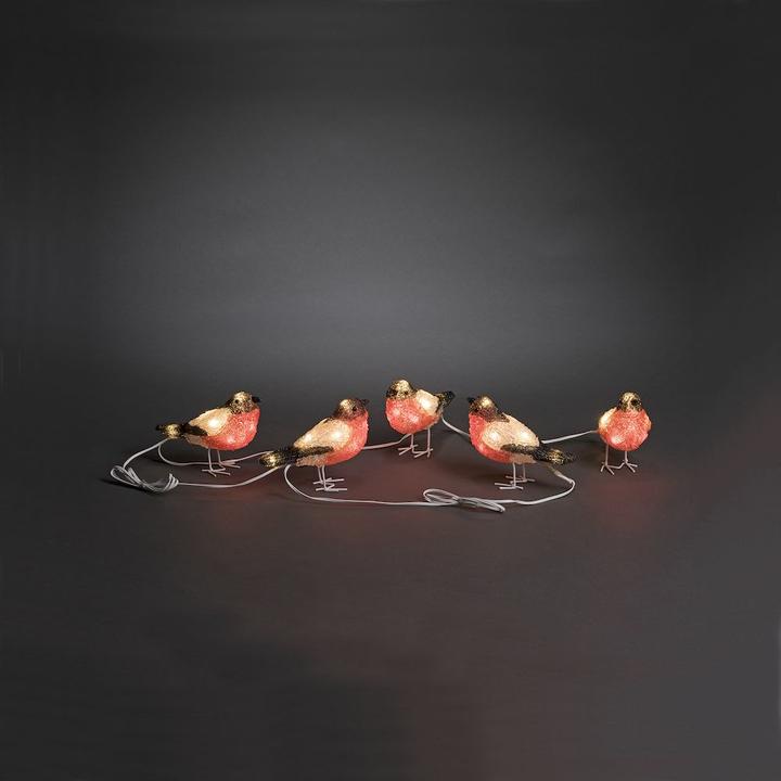 Image du produit Konstsmide Oiseaux