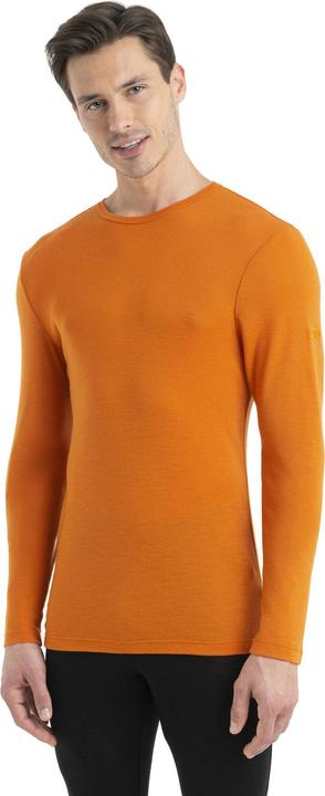 Actual product image Icebreaker 175 Everyday L/S Crewe (S)