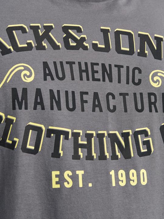 Actual product image Jack & Jones Jjelogo Tee Ss O-Neck 2 Col Aw24 S Pls (XXL)