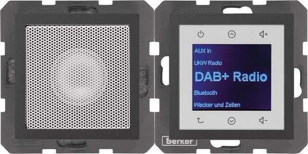 Berker BERK Radio Touch (DAB+, FM)