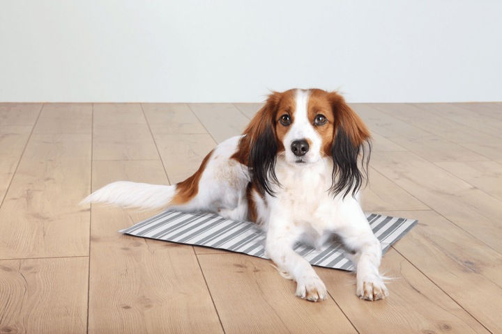 Image du produit Trixie Tapis de refroidissement (Chien)