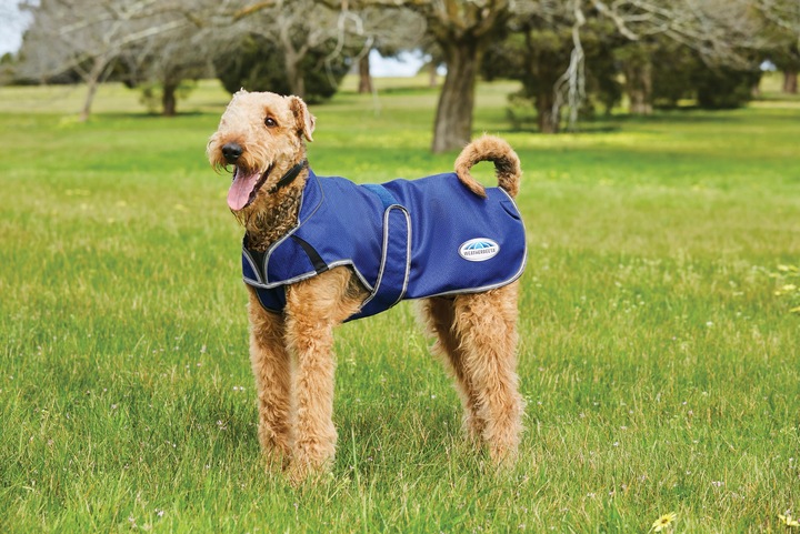 Produktbild Weatherbeeta Comfitec Premier Free Parka Deluxe Hundemantel medium (35, Hundemantel)