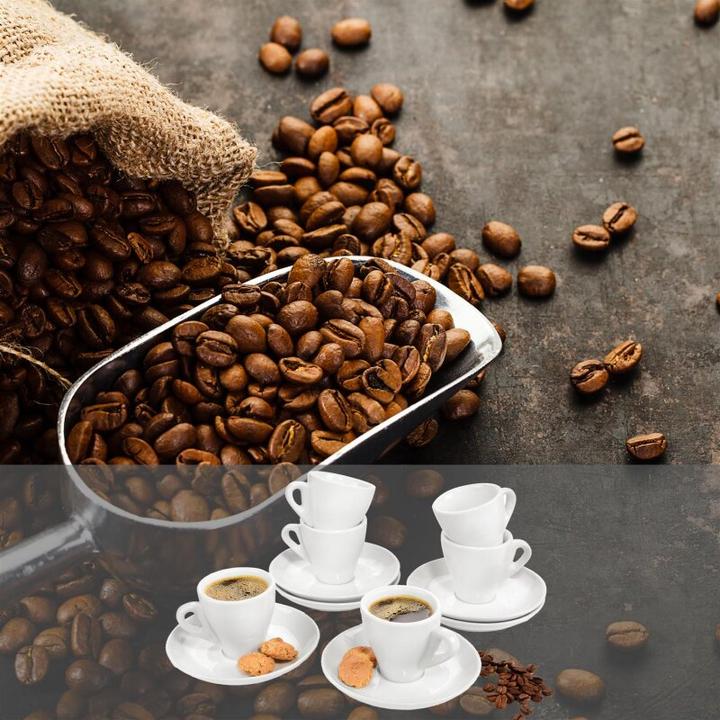 Immagine prodotto Sänger Geschirr Set di tazze per espresso Florence con piattini, set di 12 pezzi in porcellana (12 Pezzo/i)