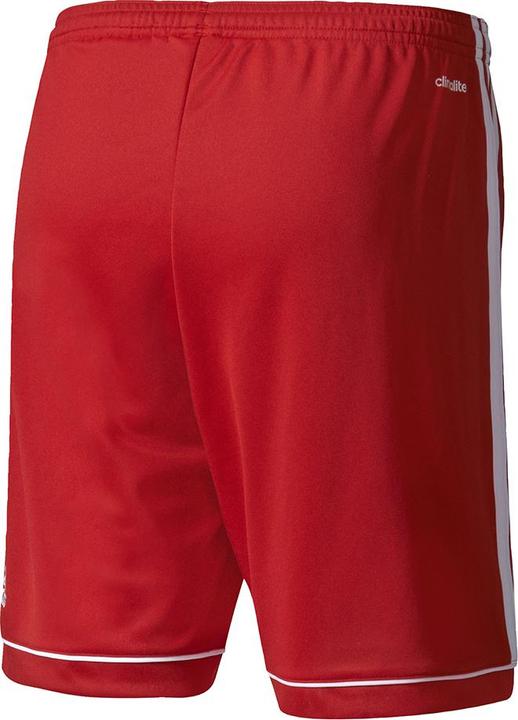 Immagine prodotto adidas Pantaloncino Squadra 17 (164)