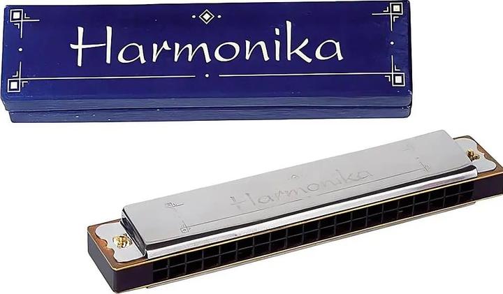 Actual product image Goki Harmonica