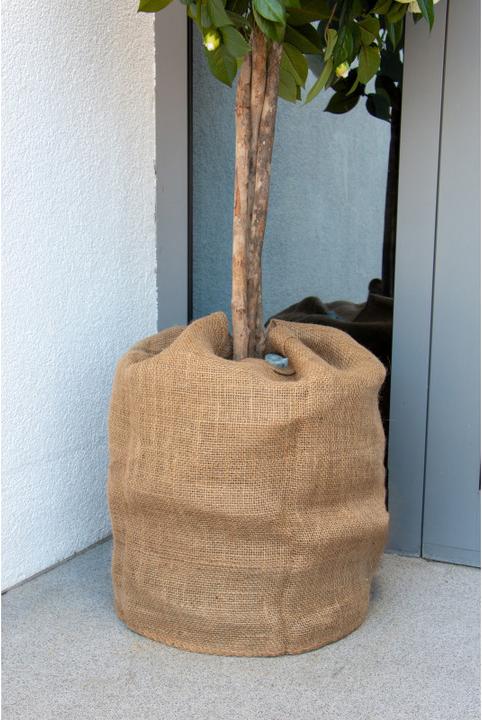 Image du produit Colibri Sac en jute