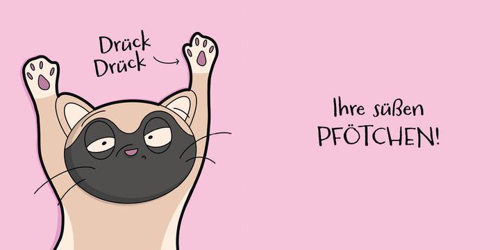 Productafbeelding Katzen (sind) verrückt – 40 Gründe, warum deine Katze nicht von dieser Welt ist (Duits, Katharina Hohmann, 2022)