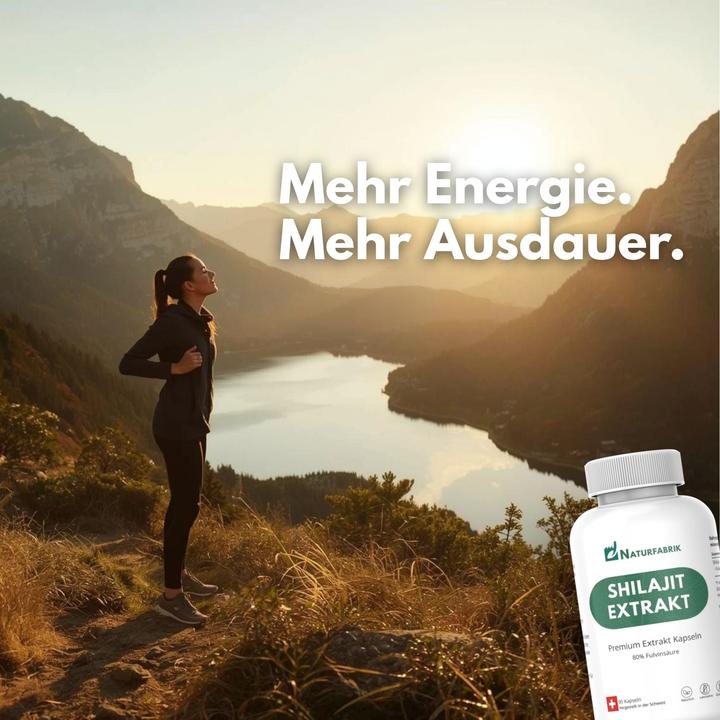 Produktbild Naturfabrik Shilajit Mumijo Extrakt Kapseln 90 Stk (90 Stück, Kapseln)