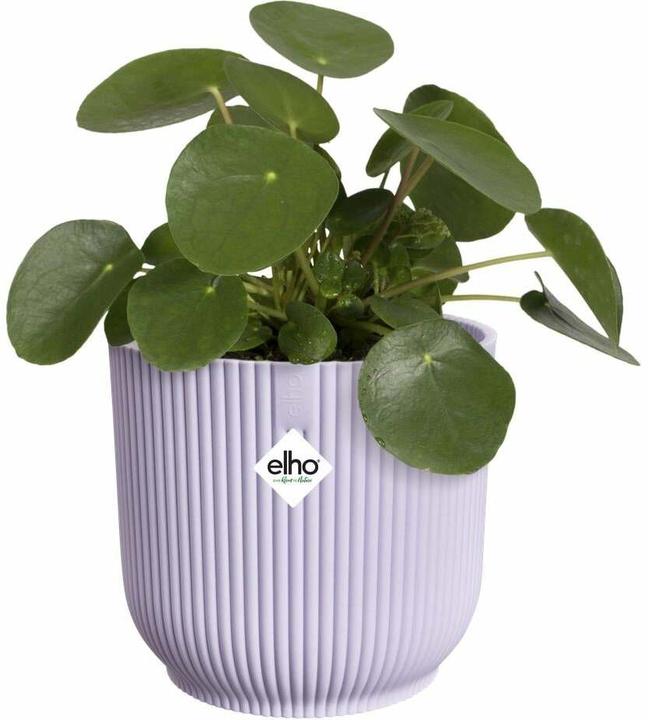 Produktbild Elho Pflanzengefäss Vibes fold ø 16 cm (16 x 15 cm)