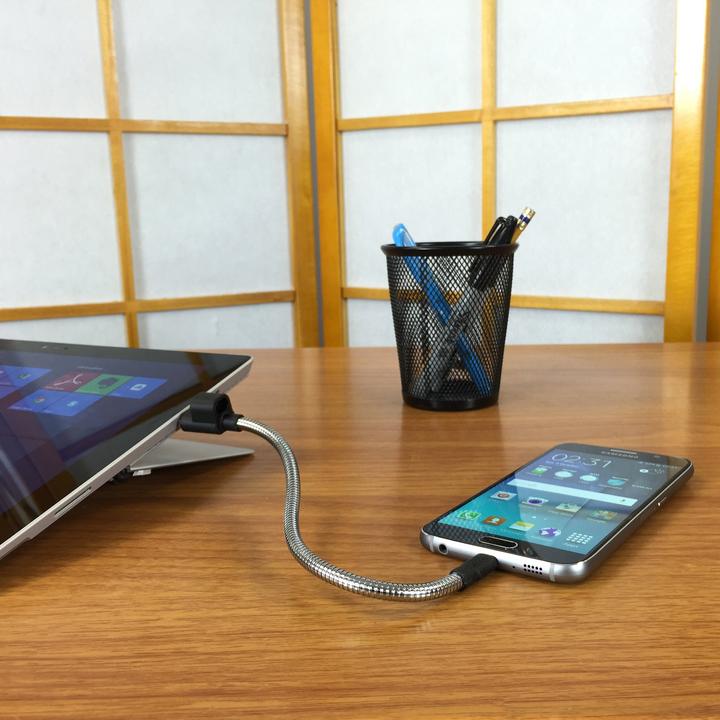 Actual product image [Fuse] Chicken Titan Loop M (0.25 m, USB 2.0)