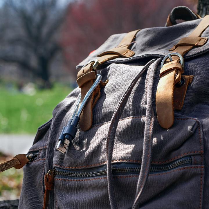 Actual product image [Fuse] Chicken Titan Loop M (0.25 m, USB 2.0)