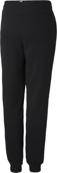 Actual product image Puma Essentials Sweatpants-587038 (176)