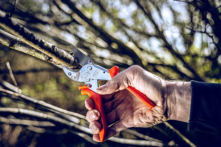 Produktbild Löwe Original Löwe 10 AmbossSchere