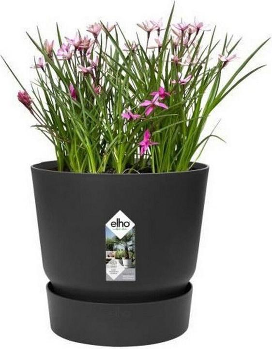Immagine prodotto Elho vasi di fiori (39 cm)