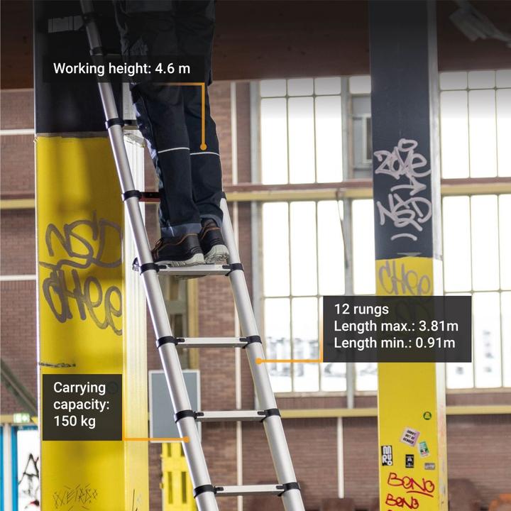 Actual product image Batavia Professional Telescopic Ladder 3.81m (Scaffolding, 381 cm)
