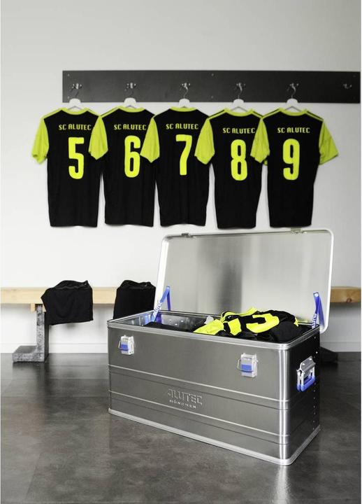 Productafbeelding Alutec Transportbox COMFORT Aluminium (L x B H) 280 215 150 mm (28 x 21,5 x 15 cm, 6 l)