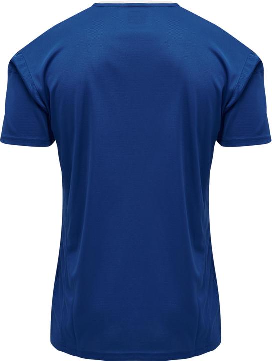 Actual product image hummel Authentic Poly Jersey S/S (S)