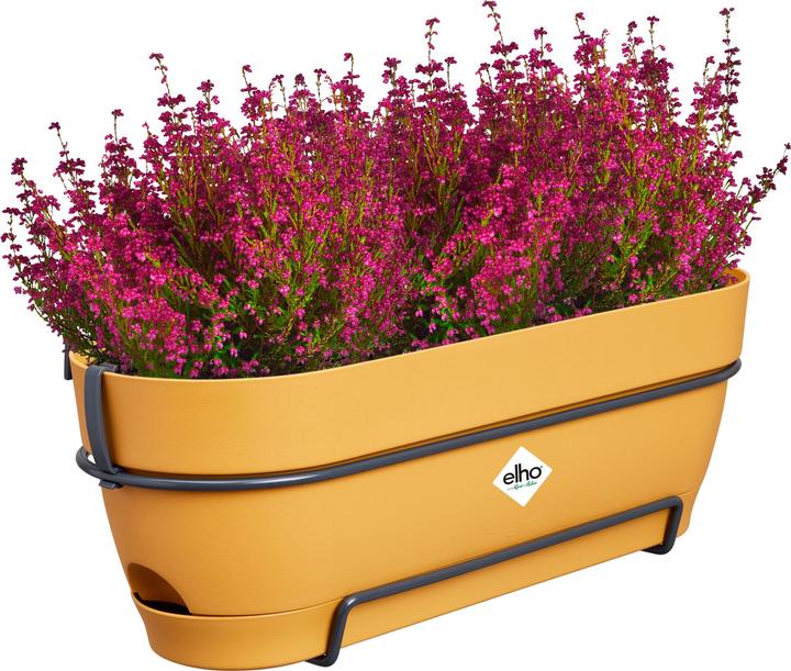 Image du produit Elho Vibia Campana Balcon Allin1 (50.40 x 26 x 17 cm)