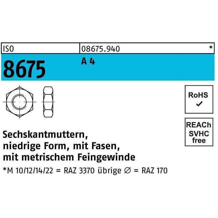 Muttern + Unterlegscheiben, Sechskantmutter DIN 439 Form B BM 36 x 3 A 4 (M36)