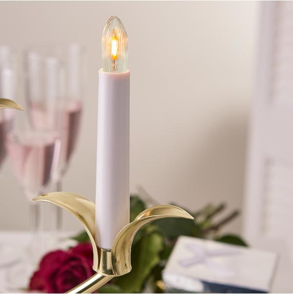 Image du produit Star Trading Guirlande Eucalyptus (0.30 m)