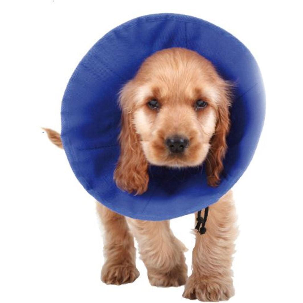 KVP Hunde-Halskrause EZ Soft Blau (30-50 cm) (Cane), Collare + Guinzaglio