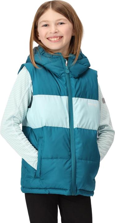 Produktbild Regatta Lofthouse Weste (104)