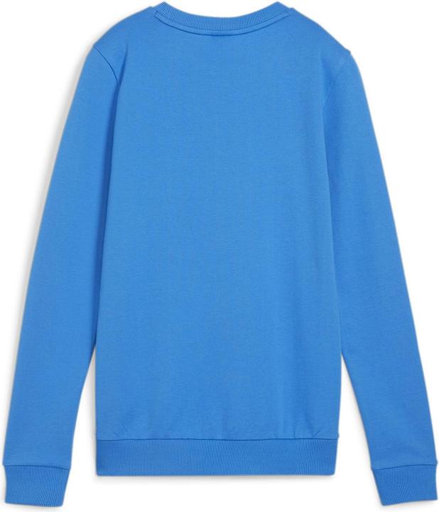 Actual product image Puma teamGOAL Casuals Crew Neck Sweat Wmn (S)