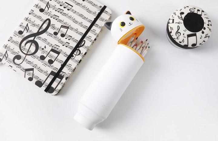 Actual product image Roost Silicone case XL