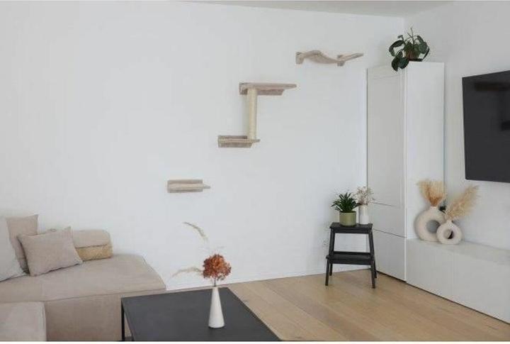 Immagine prodotto Kerbl Parete di arrampicata Zugspitze (44 cm, Beige)